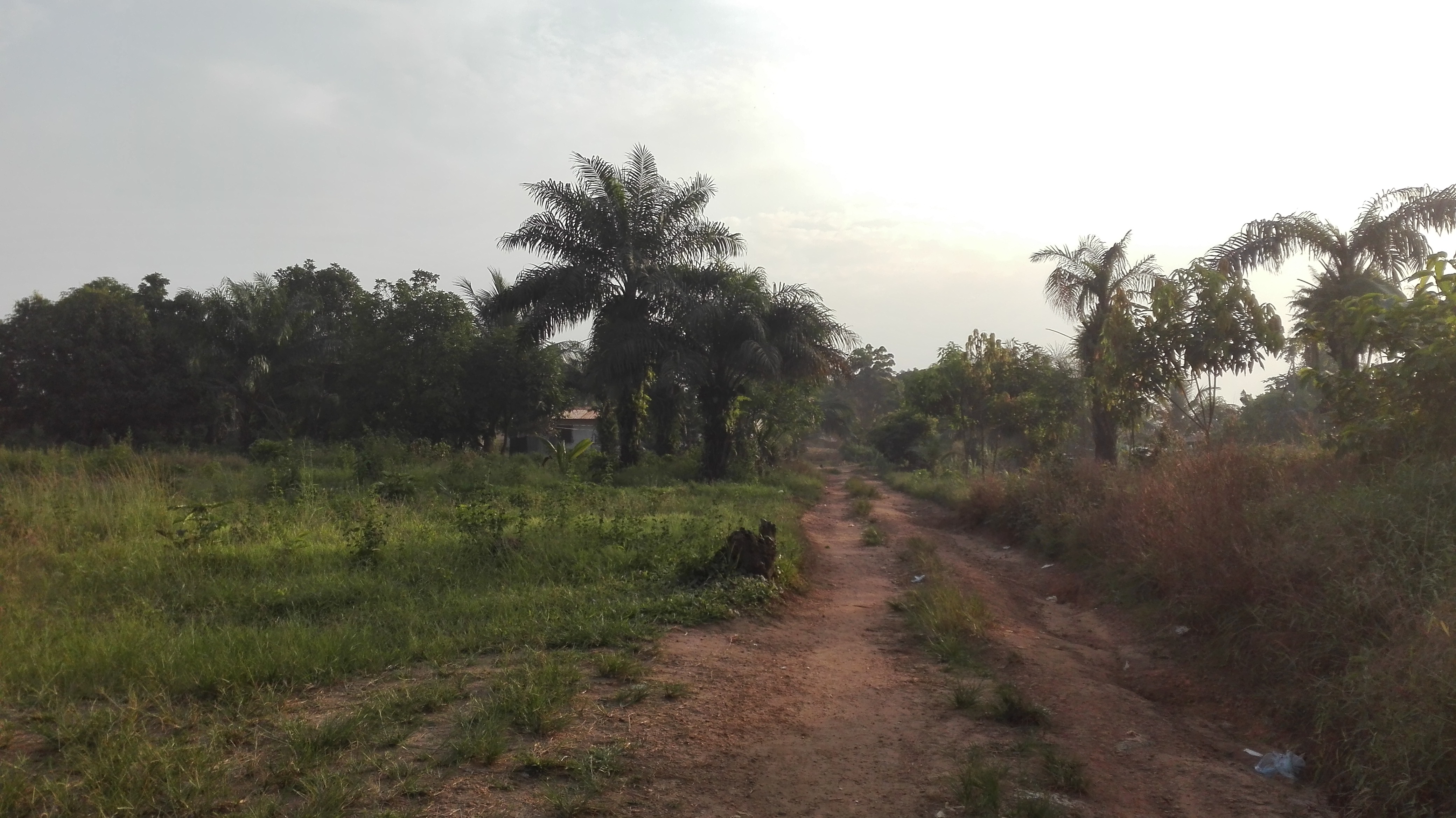 Dixville, Liberia